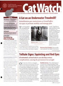 Catwatch Magazine
