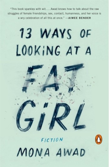 13 Ways of Looking at a Fat Girl: Fiction