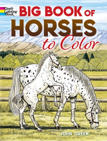 Big Book of Horses to Color