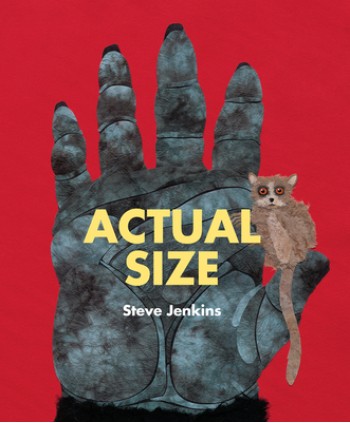 Actual Size