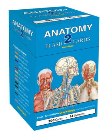 Anatomy 2 Flash Cards: A Quickstudy Reference Tool