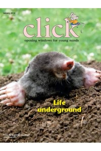 CLICK (for The Modern Photographer) Magazine