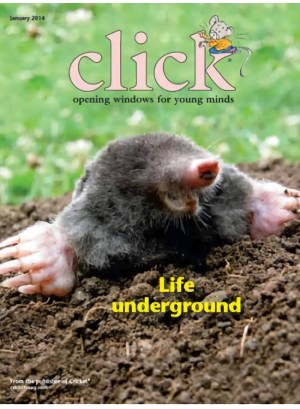 CLICK (for The Modern Photographer) Magazine