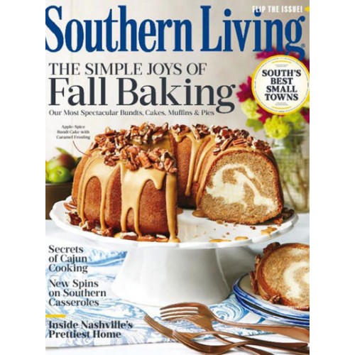 Southern Living Magazine Subscription Discount Magsstore   Southern Living Magazine 500x500 