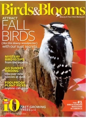 Birds & Blooms Magazine