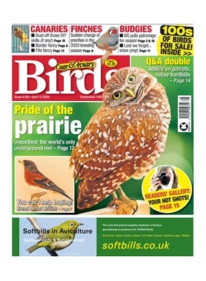 Cage & Aviary Birds UK Magazine