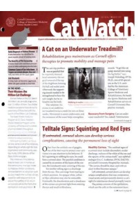 Catwatch Magazine