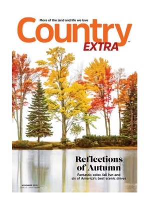 Country Homes & Interiors UK Magazine