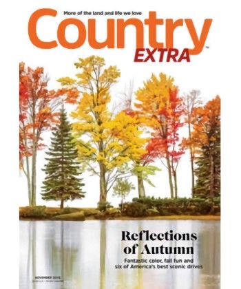 Country Homes & Interiors UK Magazine Subscription