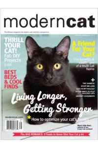 Modern Cat Magazine