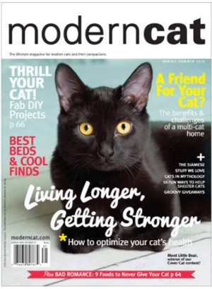 Modern Cat Magazine