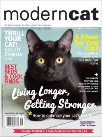 Modern Cat Magazine Subscription