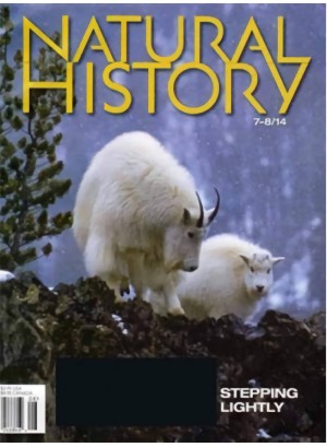 Natural History Magazine