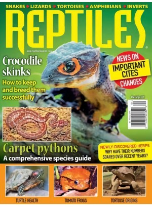 Reptiles Magazine