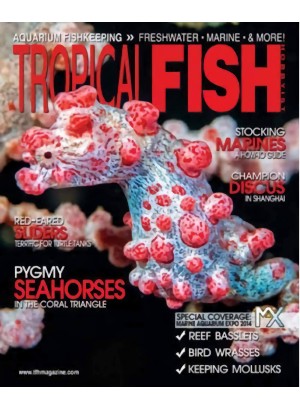 Tropical Fish Hobbyist Magazine