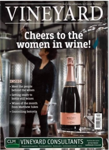 Vineyard (UK) Magazine Subscription