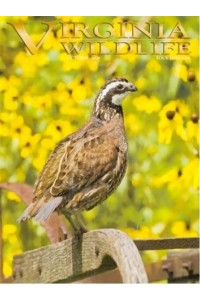 Virginia Wildlife Magazine