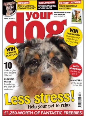 Your Dog Magazine Subscription