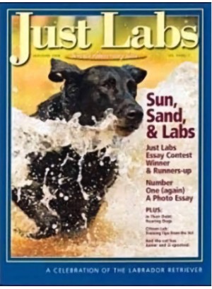 Just Labs Magazine