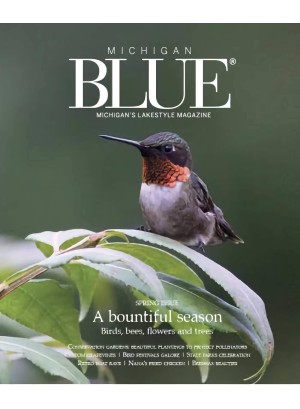 Michigan BLUE Magazine